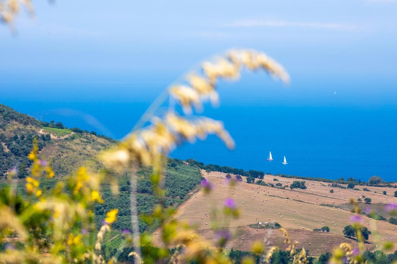 Il Panorama Housing Cilento Aparthotel Santa Maria di Castellabate Esterno foto